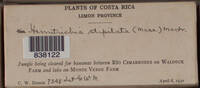 Image Associated With the Occurence
